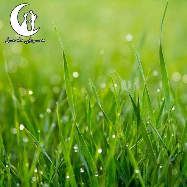 تست همسر ایده آل با انتخاب رنگ مورد علاقه